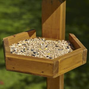 Feeders and Feeding Stations