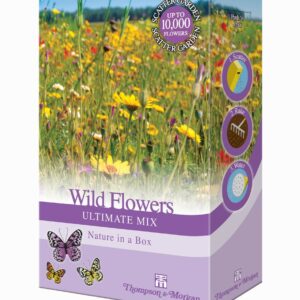 Flower Seed Boxes