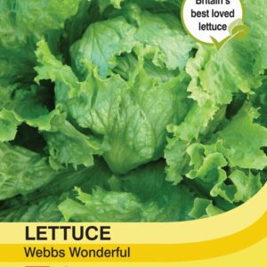 Lettuuce & Salad Leaves