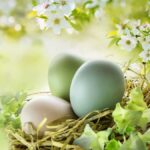 Easter, Easter opening hours